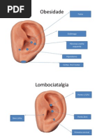 Protocolos de Auriculoterapia