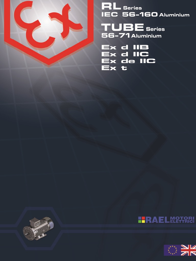 Essential Electrical Motor Specifications PDF Metrology Physical