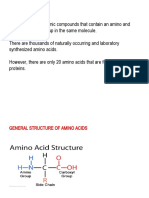 3.amino Acids