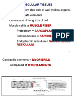 MUSCULAR TISSUES - STRUCTURE AND CLASSIFICATION