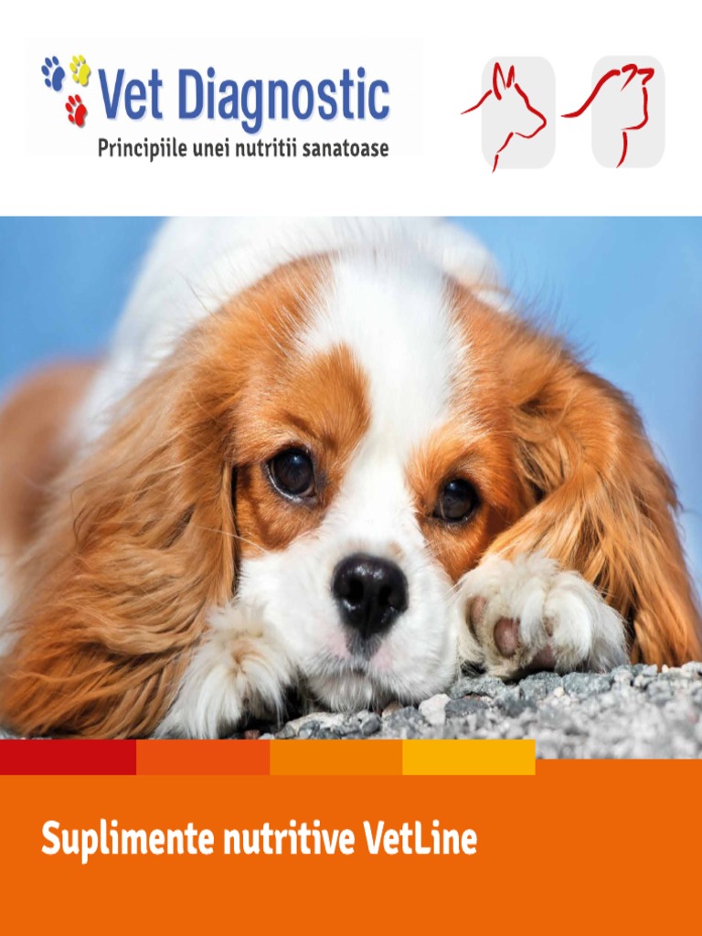Catalog VetLine Ed5 | PDF