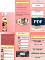 Leaflet Leukemia Iqlima