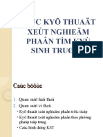 Cac Ky Thuat XN Phan Tt+willis