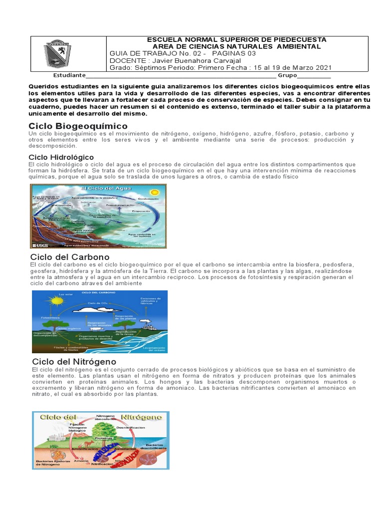 Guía de Ciclos Biogeoquímicos en Naturaleza | PDF | Agua | El ciclo del ...