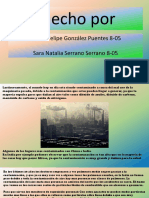 Desarrollo Sociales