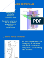 Movimientos Articulares Anatomicos