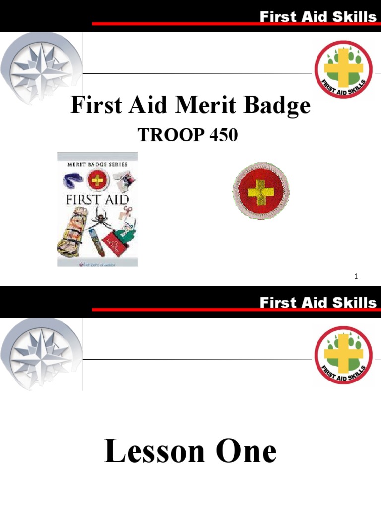 First Aid Merit Badge PDF Cardiopulmonary Resuscitation Burn