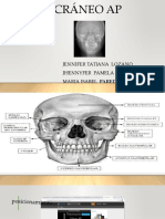 CRÁNEO AP - Posición del paciente y estructuras mostradas