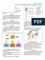 EMBRIOLOGIA DO SISTEMA NERVOSO