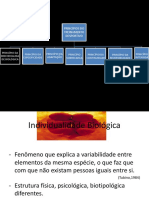 1 Principios - Do - Treinamento - Esportivo