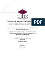 T-UIDE-0034