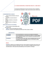 Conceptos y Características de Neuromarketing