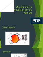 Eficiencia de La Percepción Del Ojo Humano