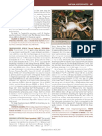 Maia Et Al. 2011 Xenodon Neuwiedi Diet