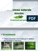 Ecosisteme Naturale Terestre