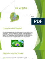 Celula Vegetal(1)