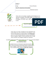 Guía N°2 Importancia de Las Plantas Ciencias Naturales TERCERO BASICO