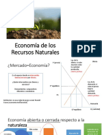 2020.12.04 Economía de los Recursos Naturales (1)