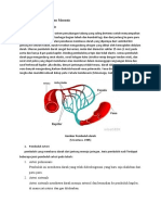 Histologi Sistem Peredaran Manusia