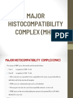 Major Histocompatibility Complex (MHC)