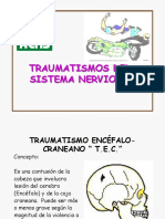 Traumatismos Del Sistema Nervioso