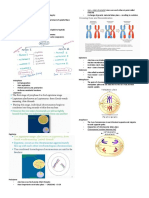 G1 Checkpoint - Monitors Cell Size and Integrity G2 Checkpoint - DNA Damage Checkpoint