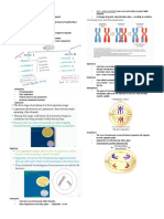 Cell Cycle Checkpoints and Meiosis Guide