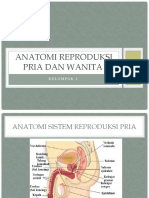 Anatomi sistem reproduksi pria dan wanita
