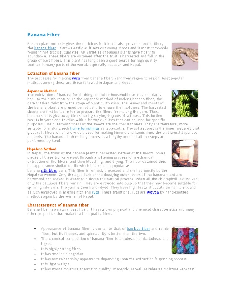 Extraction of Banana Fiber PDF Banana Silk