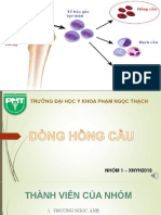 Dòng hồng cầu