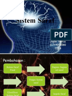 Sistem Saraf Jeslin