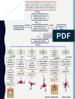 Geometría Molecular