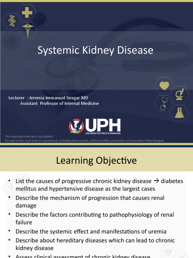 Systemic Kidney Disease Lecturer Jeremia Immanuel Siregar MD