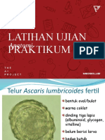 Latian Ujian Praktikum