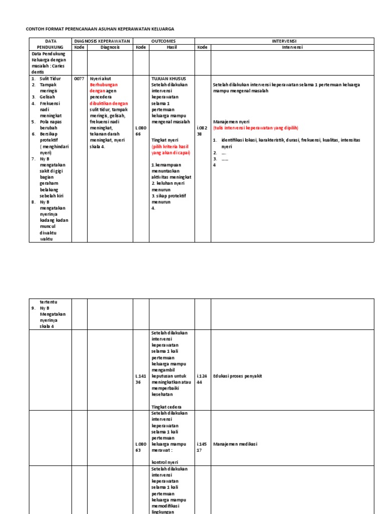 Contoh Format Perencanaan Asuhan Keperawatan Keluarga Interasi
