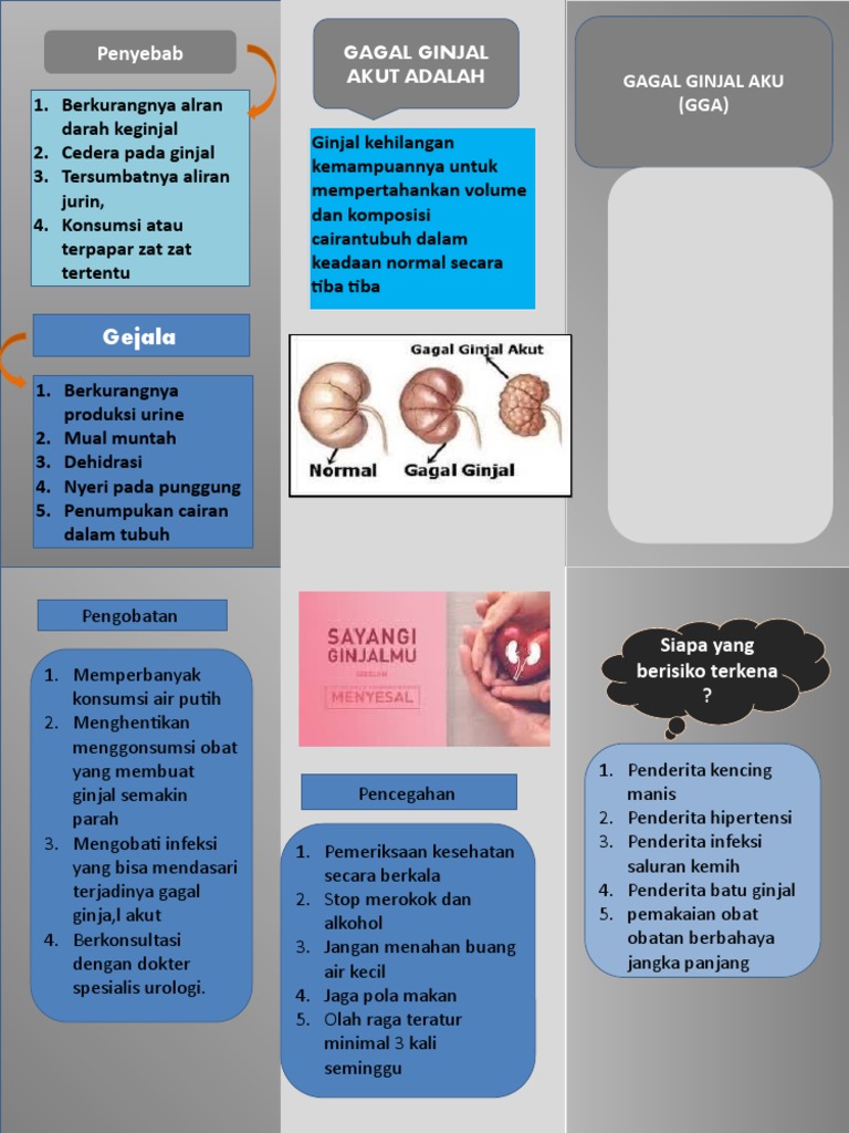 Leaflet GGA (Gagal Ginjal Akut) | PDF
