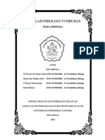 Kelompok 1 - Fisiologi Dan Sel Tumbuhan - 4A