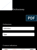 Orchiectomy
