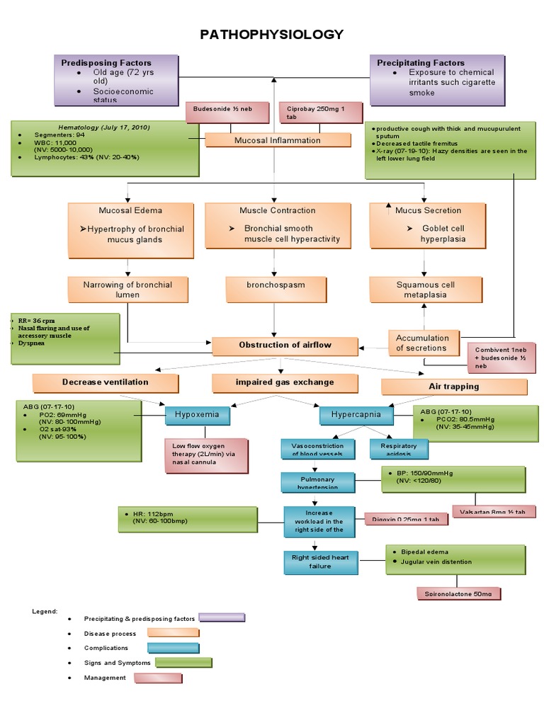 Copd pathophysiology diagram pdf