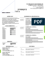 50 Curriculum Vitae Habil