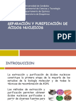 Seminario. Extracción y Purificación de Ácidos Nucleico. B.P