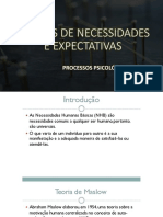 PPB TEORIAS DE NECESSIDADES E EXPECTATIVAS Aula 05