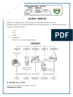 TERCER GR.SISTEMA RECEPTOR  BIOLOGÍA 2021