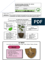 Retroalimentación C Naturales Lunes 22 de Marzo