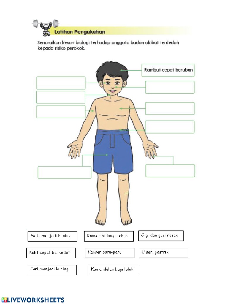 Kesan Merokok | PDF