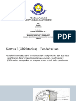 Neuroanatomi N.I - Andesty - 2065050158