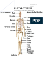 Skeletal System: Issac Phoenix S. Paraiso NOVEMBER 26, 2019 Grade Iv-St. Joseph Science Iv