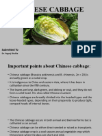Chinese Cabbage: Submitted To Submitted by