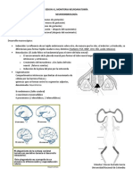 GUIA MONITORIA ANATOMIA II  - #1