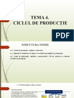 Tema 3.2 Ciclul de Productie